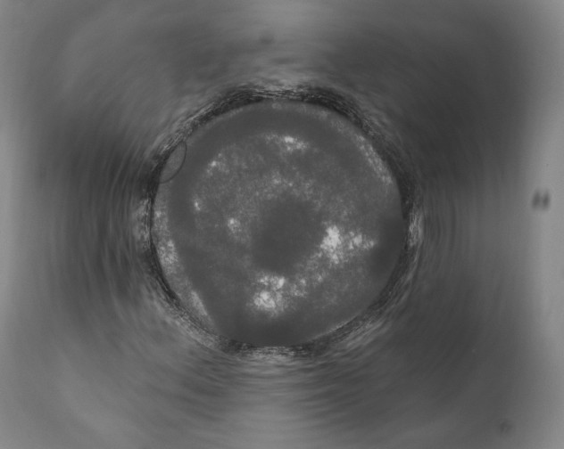 X0000111021156200907101333
