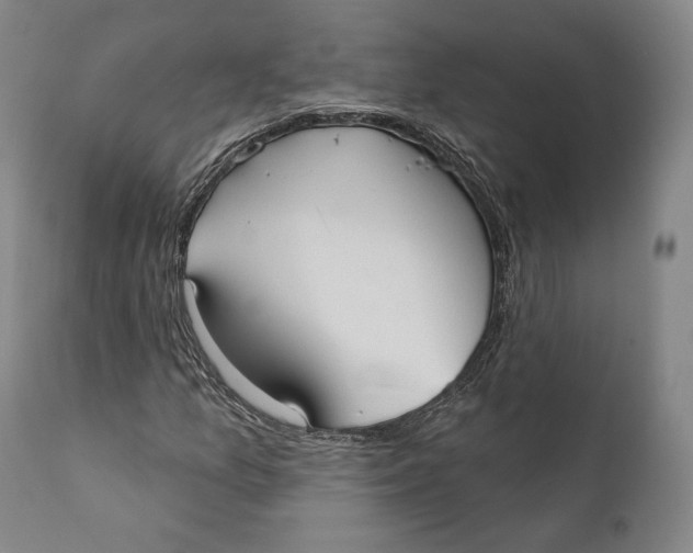X0000111021157200907101333