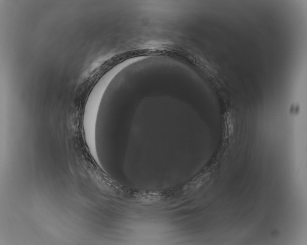 X0000111021158200907101333