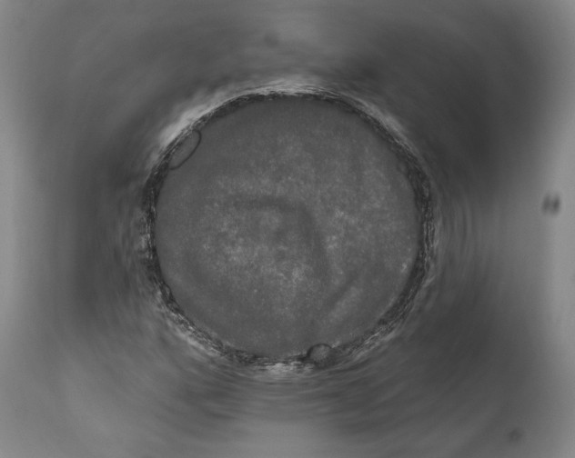 X0000111021160200907101333
