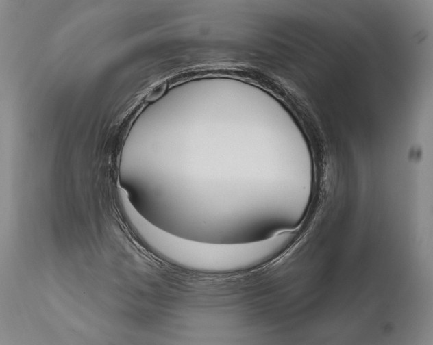 X0000111021161200907101333