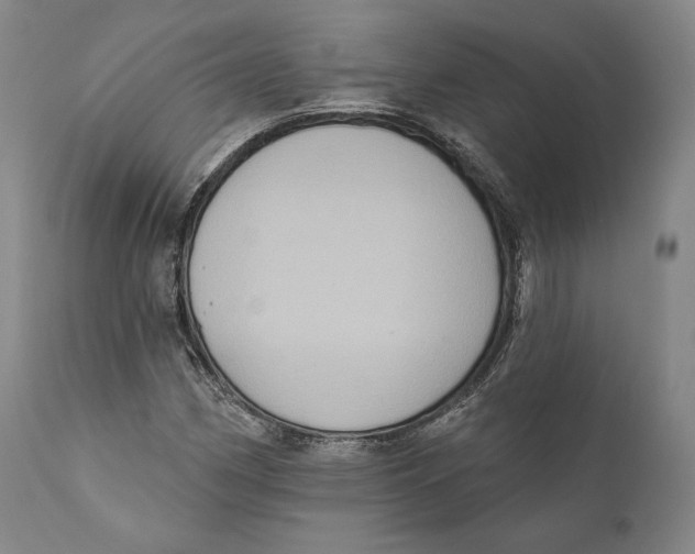 X0000111021162200907101333