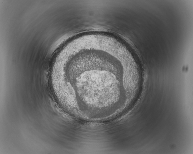 X0000111021163200907101333