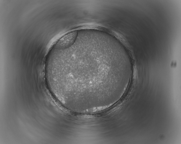 X0000111021164200907101333