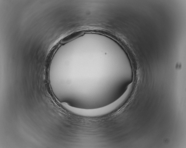 X0000111021165200907101333