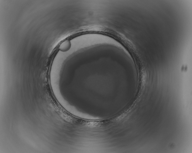 X0000111021166200907101333