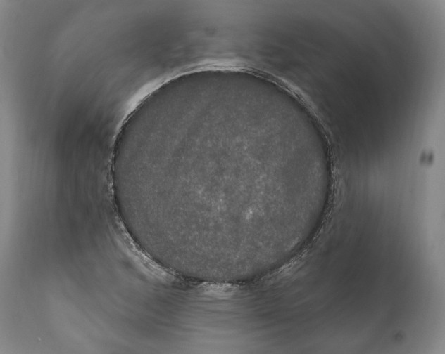X0000111021168200907101333