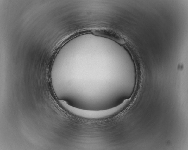 X0000111021169200907101333