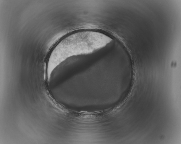 X0000111021171200907101333