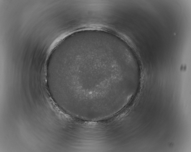 X0000111021172200907101333