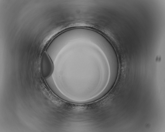 X0000111021173200907101333