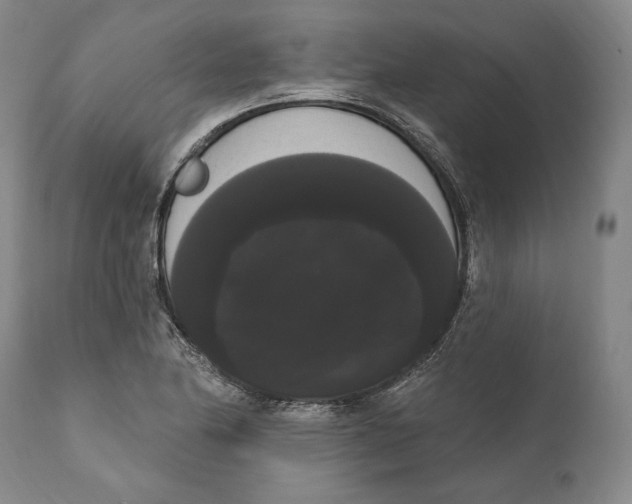X0000111021174200907101333