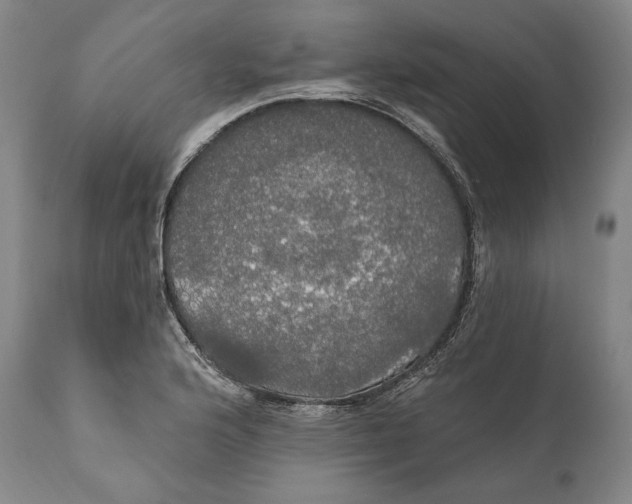 X0000111021176200907101333