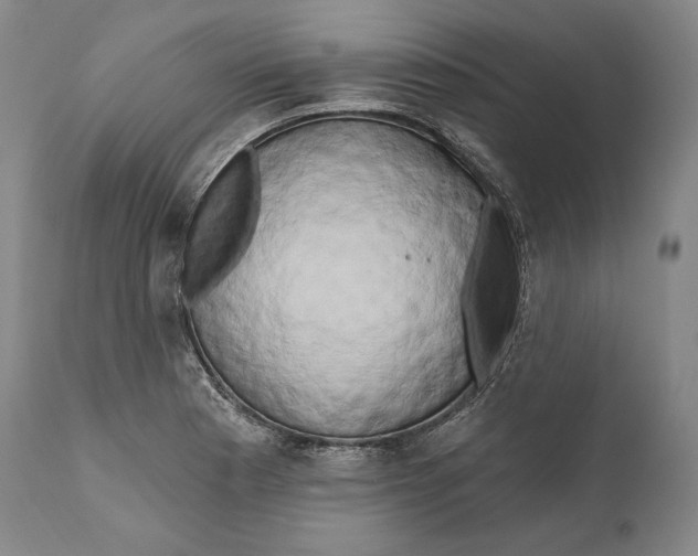X0000111021177200907101333