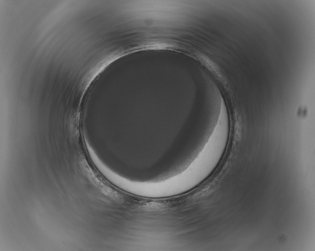 X0000111021178200907101333