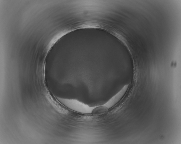 X0000111021179200907101333