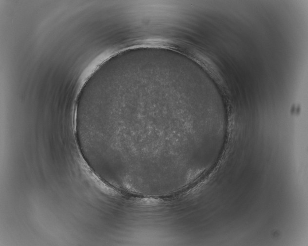 X0000111021180200907101333