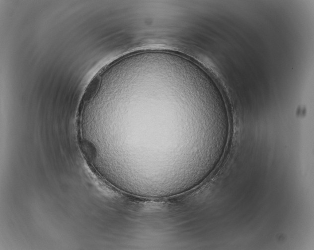 X0000111021181200907101333