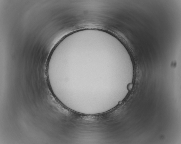 X0000111021182200907101333