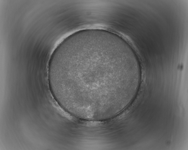 X0000111021184200907101333
