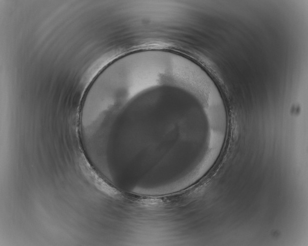 X0000111021186200907101333
