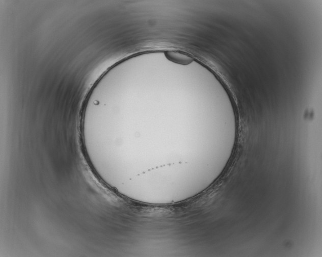X0000111021187200907101333