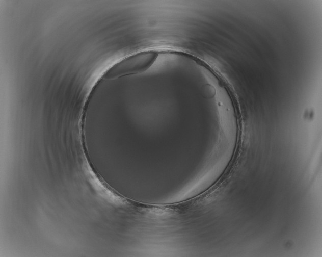 X0000111021189200907101333