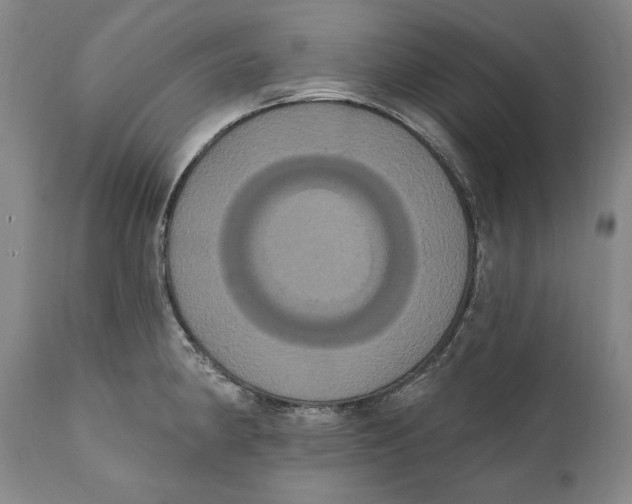 X0000111021190200907101333