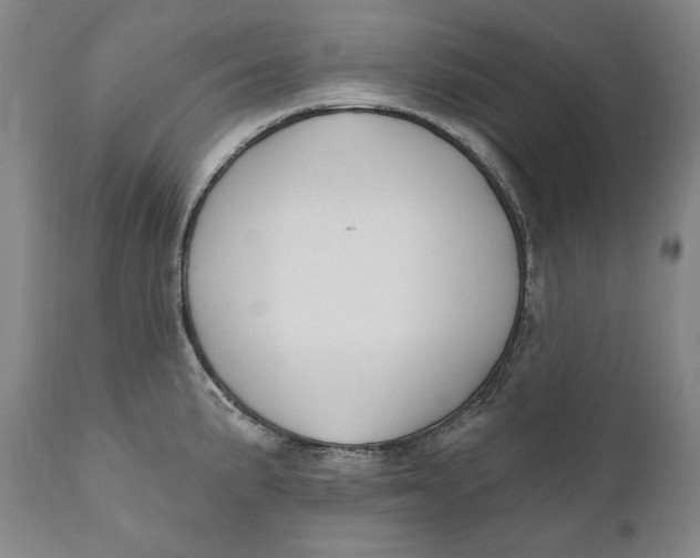 X0000111021191200907101333