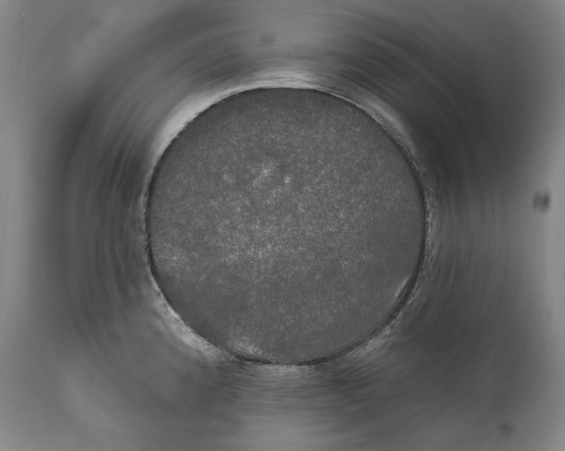 X0000111021192200907101333