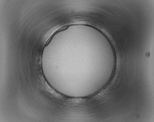 X0000111021193200907101333