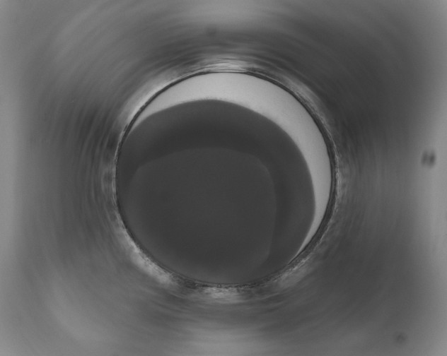X0000111021194200907101333