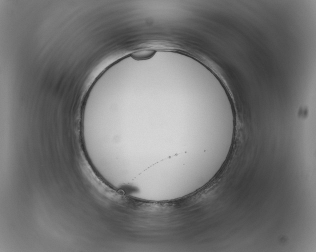 X0000111021195200907101333
