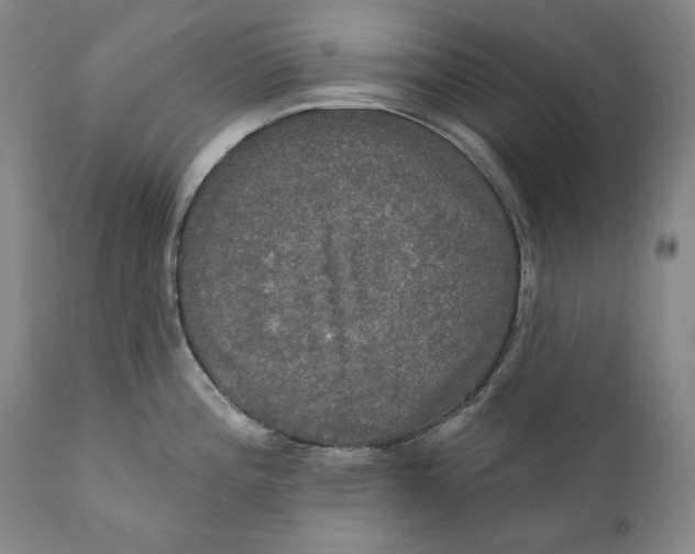 X0000111021196200907101333