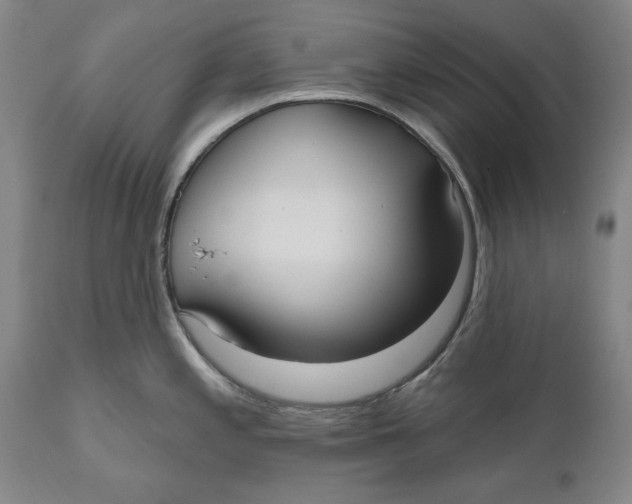 X0000111021197200907101333