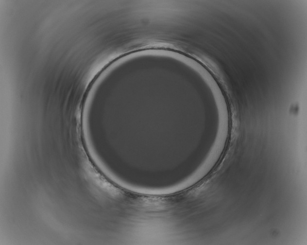X0000111021198200907101333