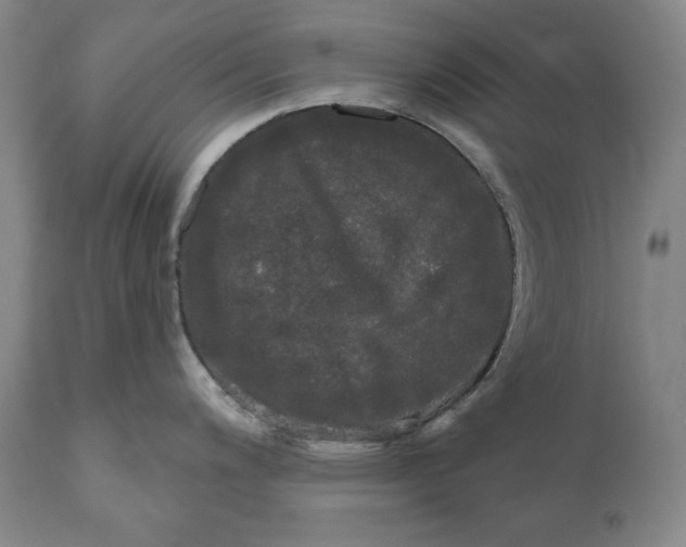 X0000111021200200907101333