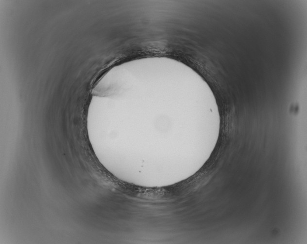 X0000111021201200907101332