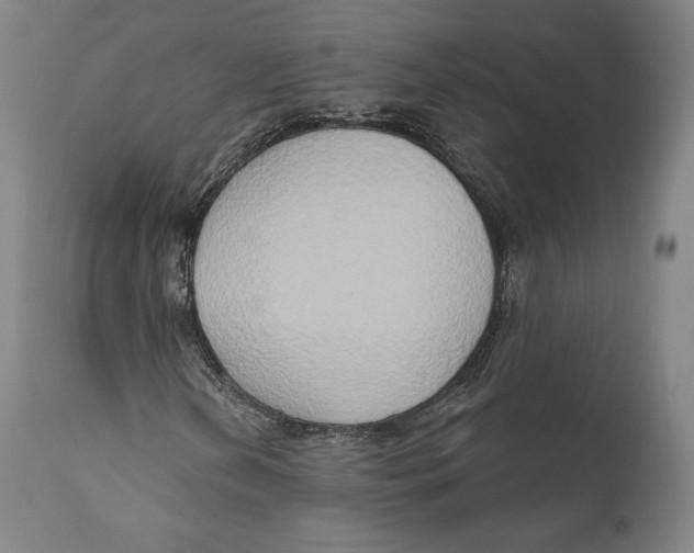 X0000111021202200907101332