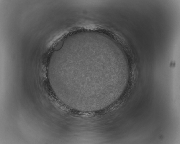 X0000111021205200907101332