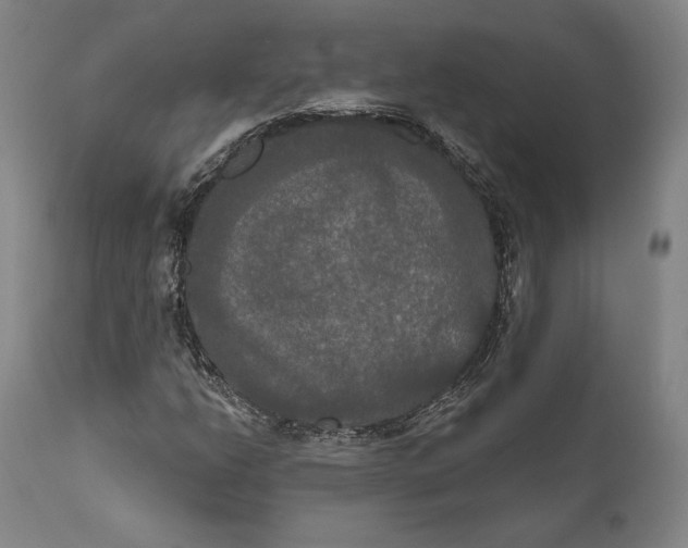 X0000111021206200907101332