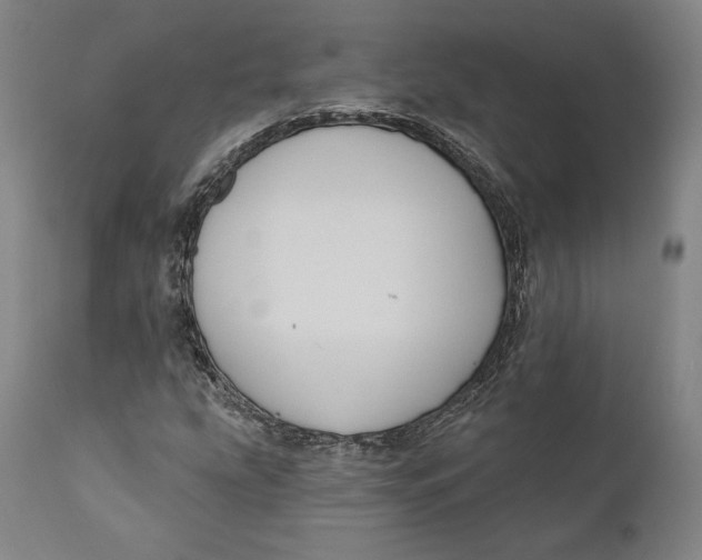 X0000111021207200907101332