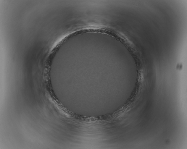 X0000111021208200907101332