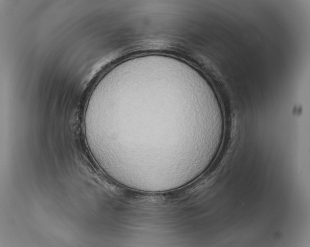 X0000111021210200907101332