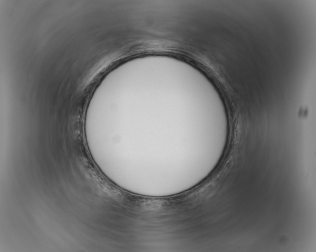 X0000111021211200907101332