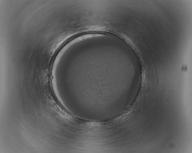 X0000111021212200907101332
