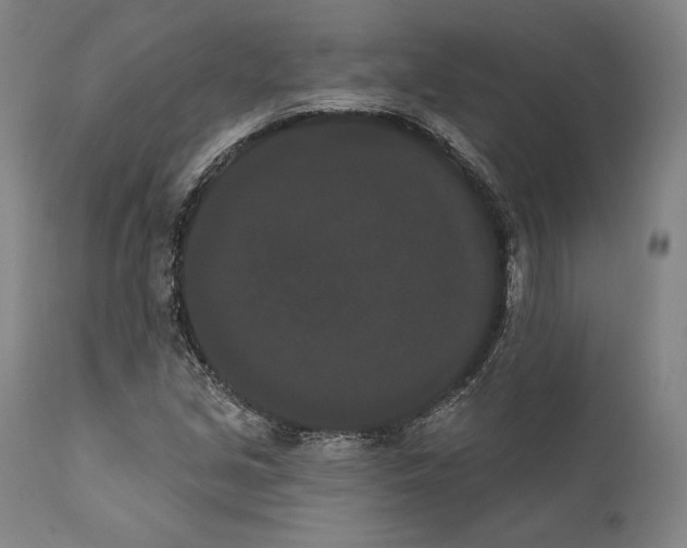 X0000111021213200907101332