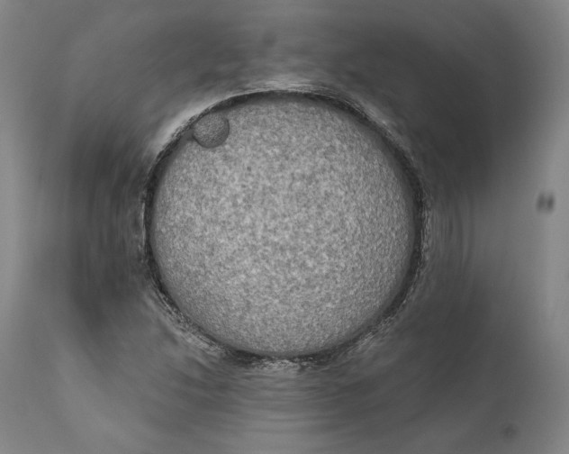 X0000111021214200907101332
