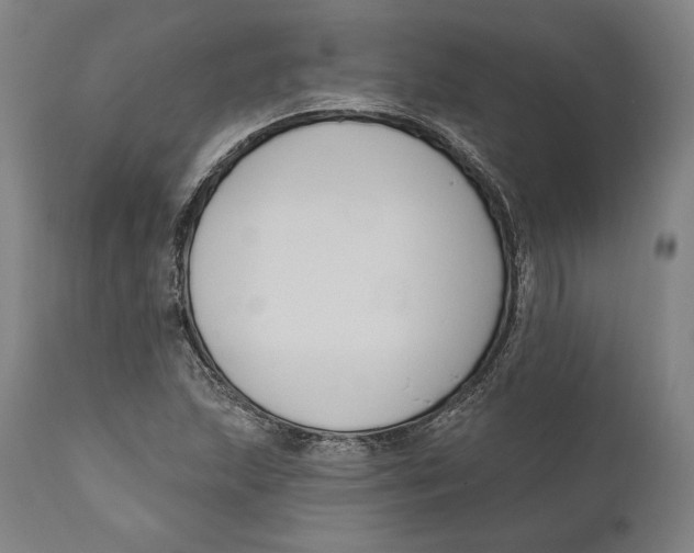 X0000111021215200907101332