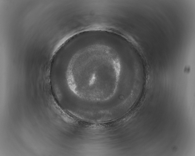 X0000111021216200907101332